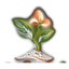 Soil2Bloom